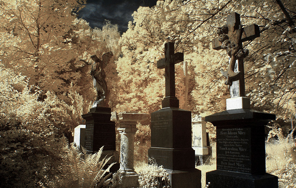 Münchner Fehlfarben (21) - Südfriedhof (2)