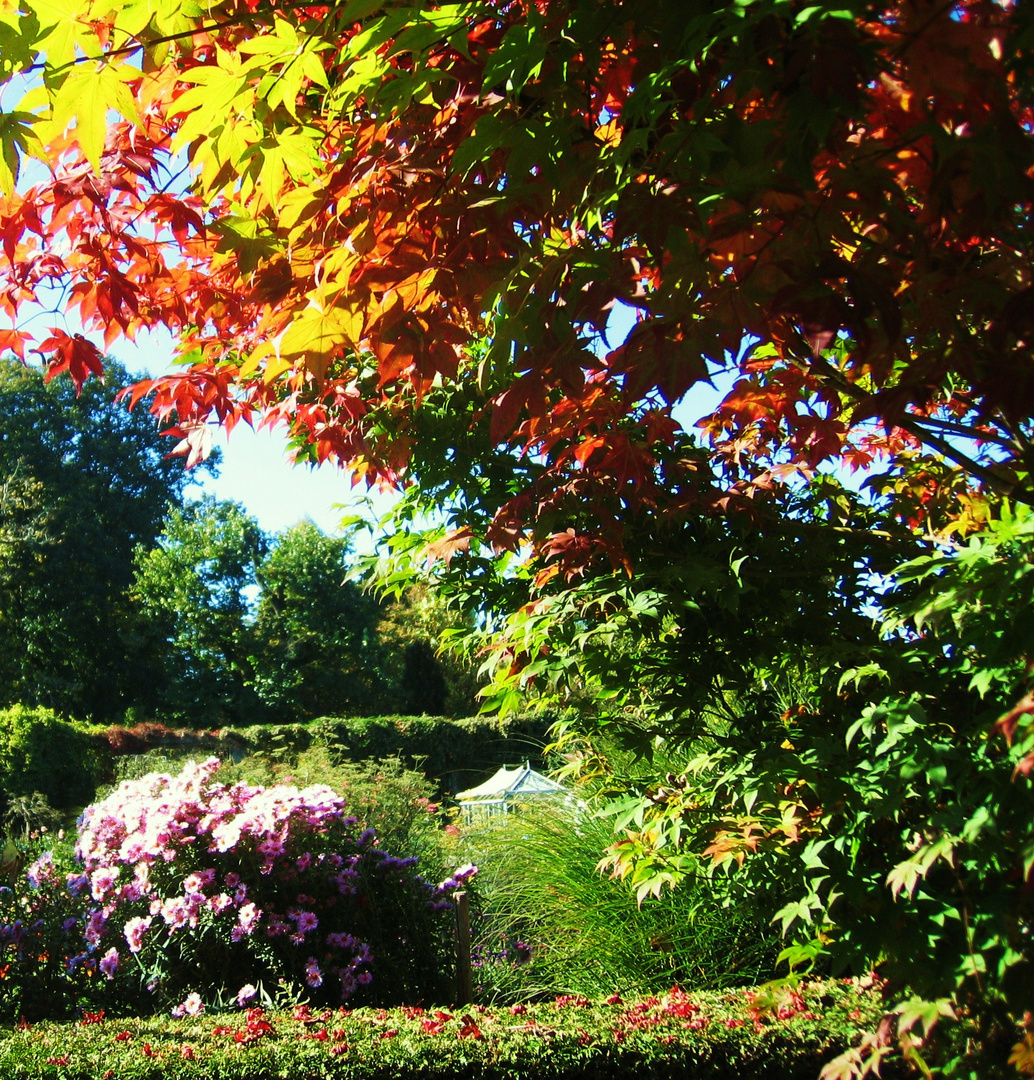 Münchner Herbst