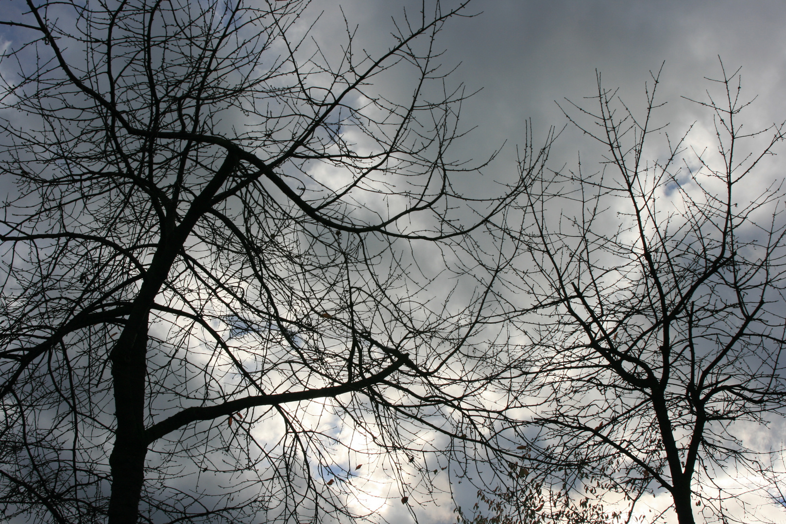 Münchner Herbst