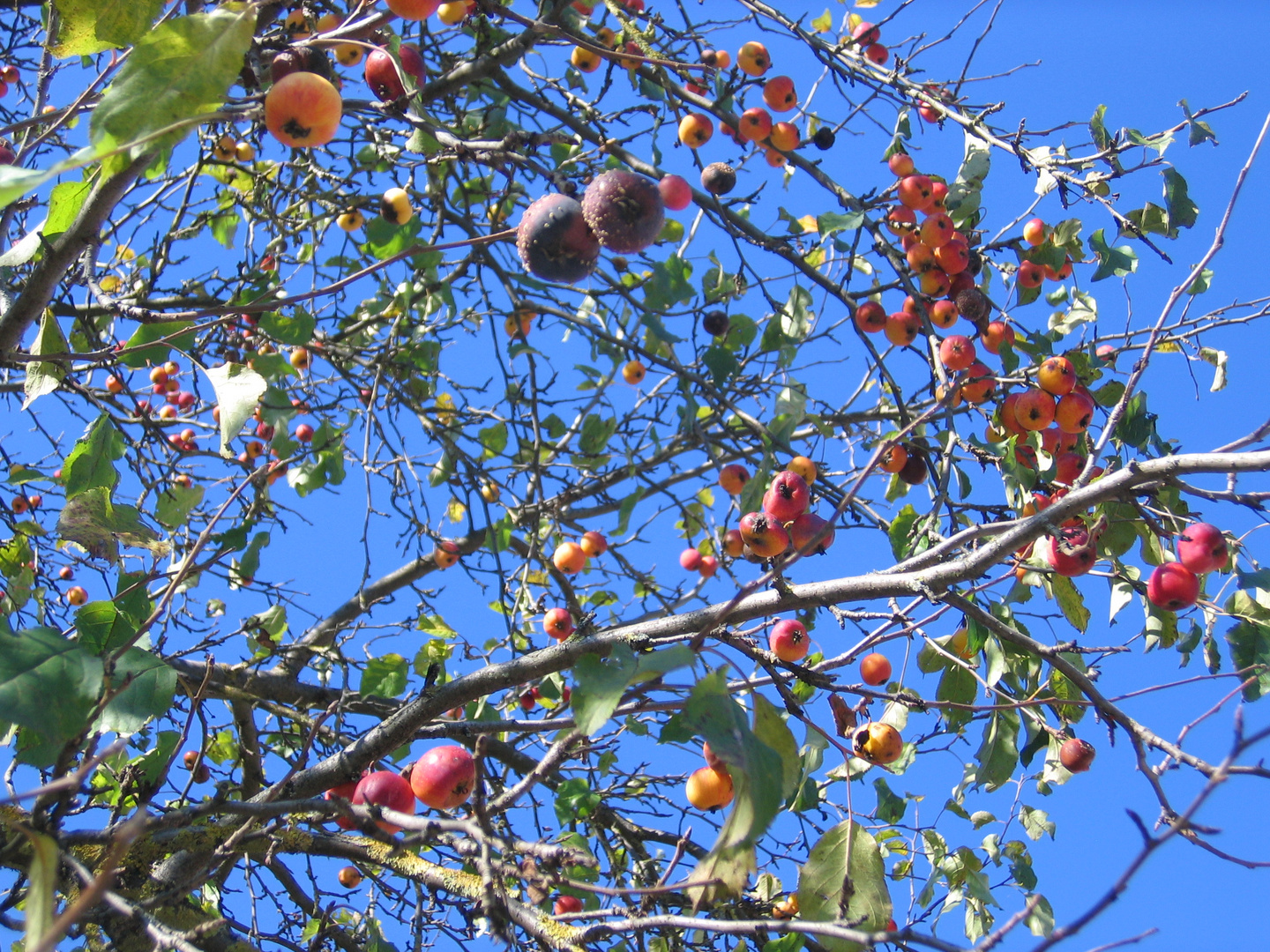 "Münchner Herbst!"