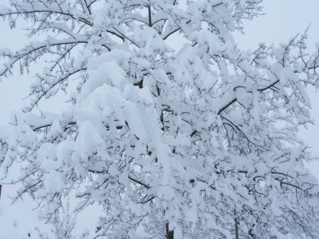 Münchner Schneewunder 2006