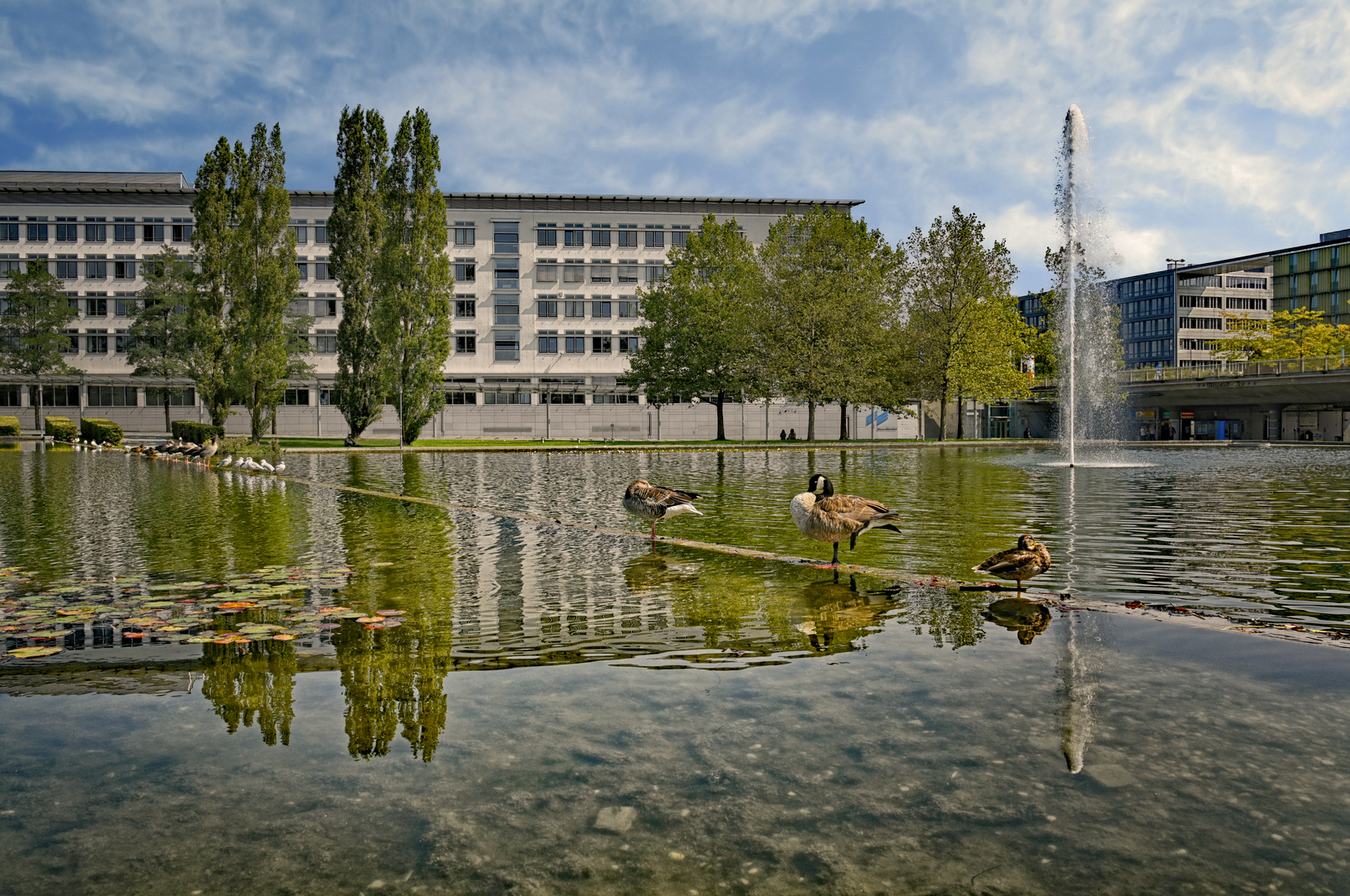  Münchner Spiegel