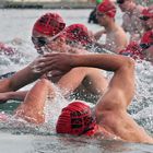 Münchner Triathlon