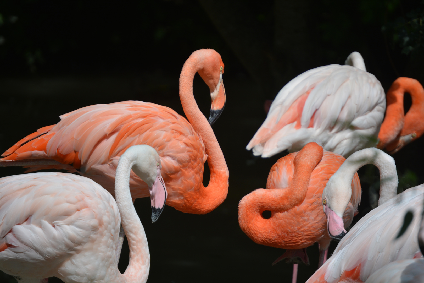 Münchner Zoo