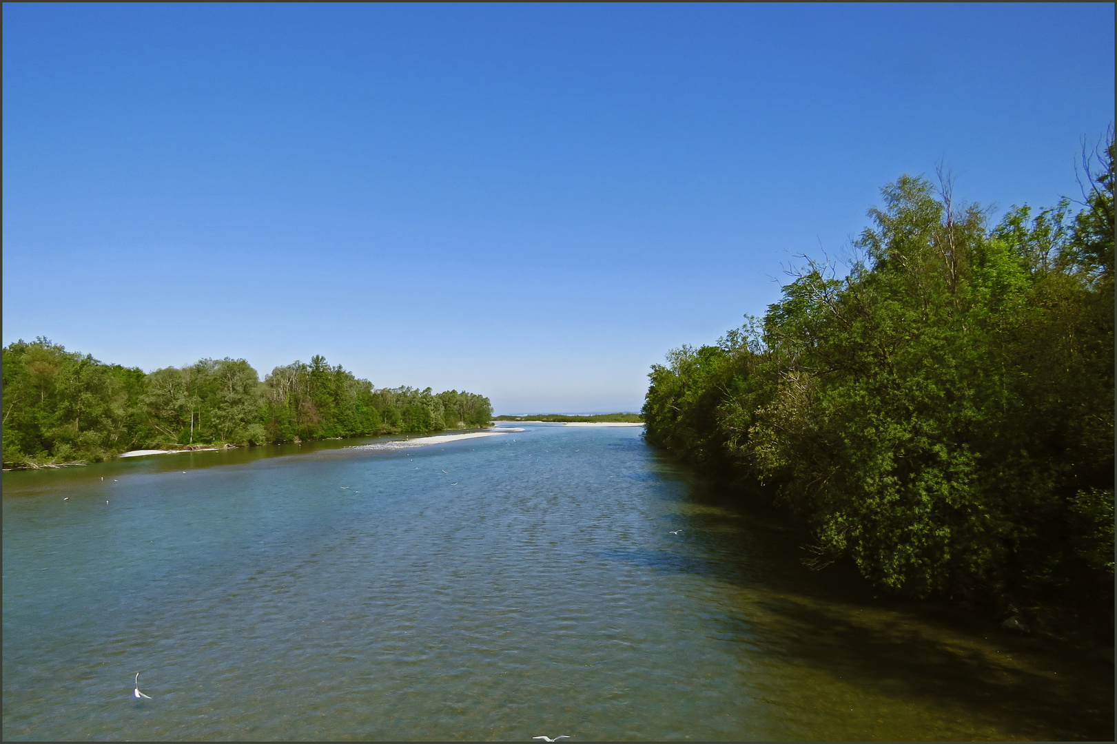 Mündung der "Bregenzer Ach" in den Bodensee