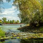 Mündung der Isenach in den Rhein