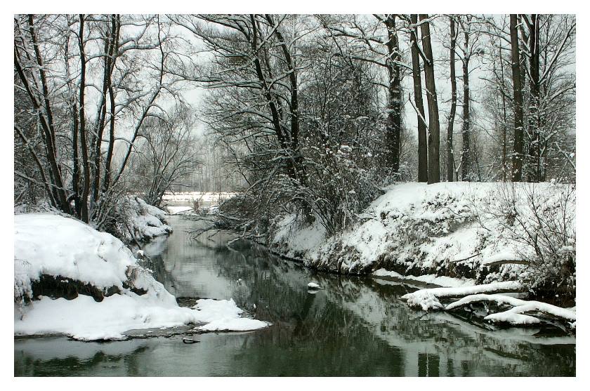 Mündung der Kuhwampe in die Donau