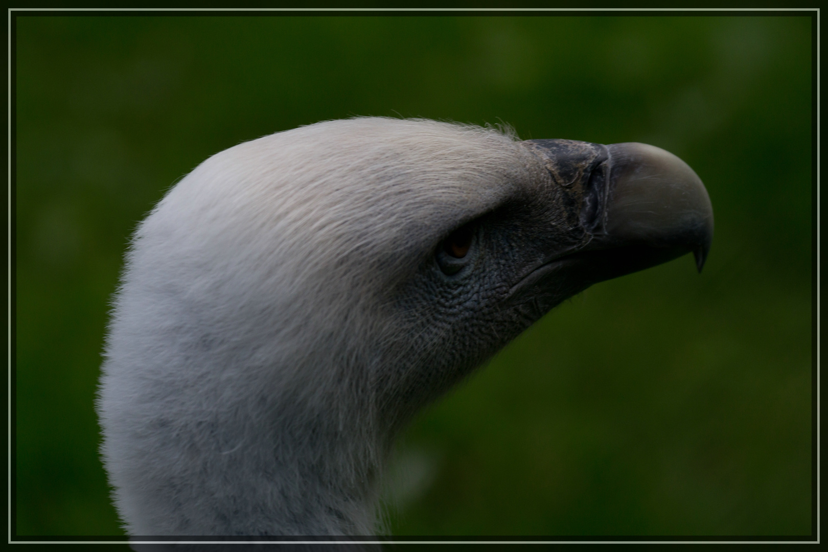 Münster Allwetterzoo 3