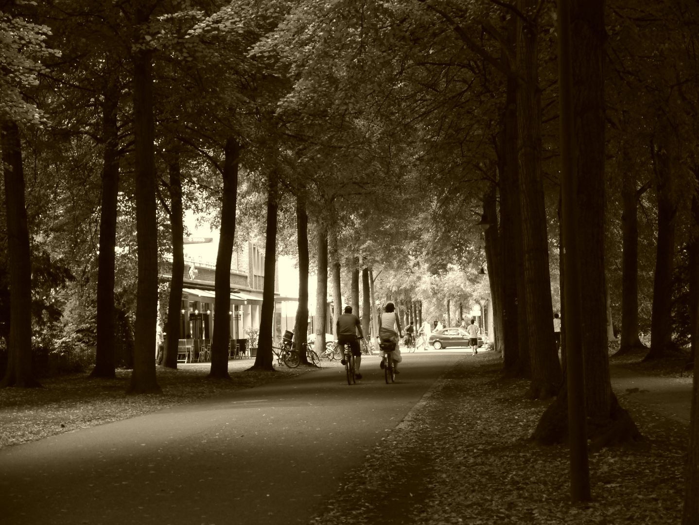 Münster, an der Promenade