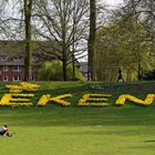 Münster bekennt Farbe