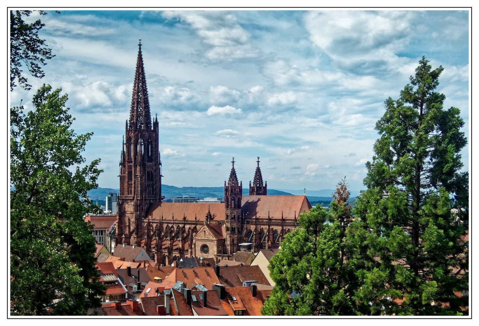 „ Münster - Blick “