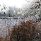 Münster - Botanischer Garten (II)