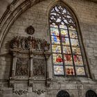 Münster Dom Fenster