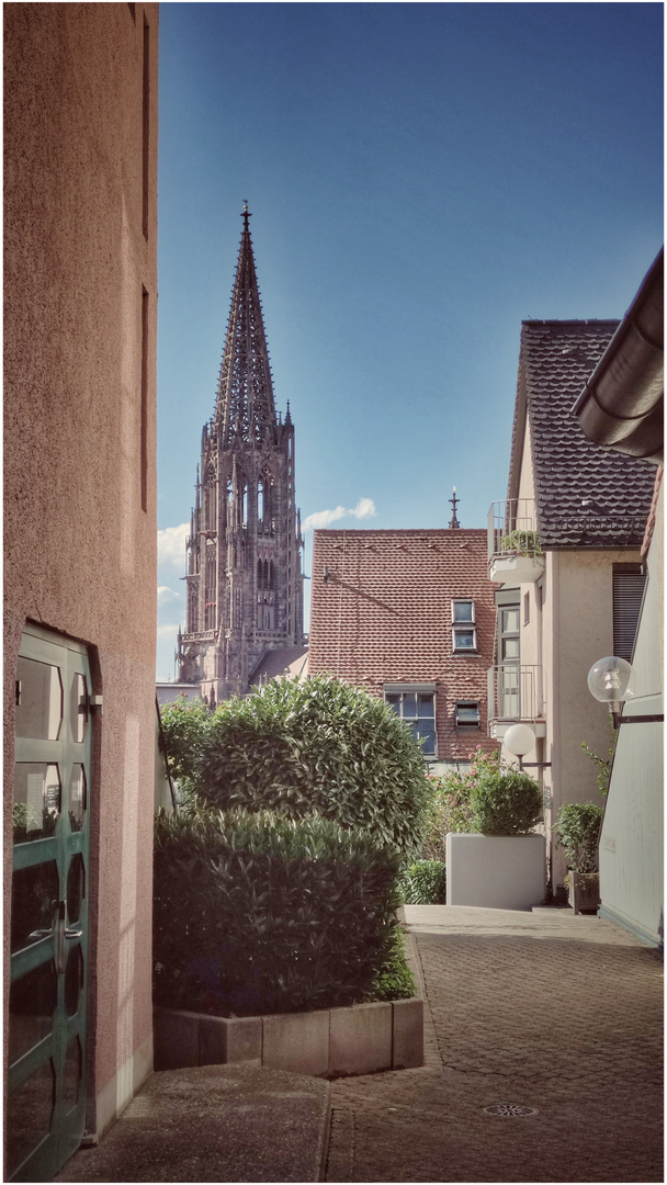 Münster 