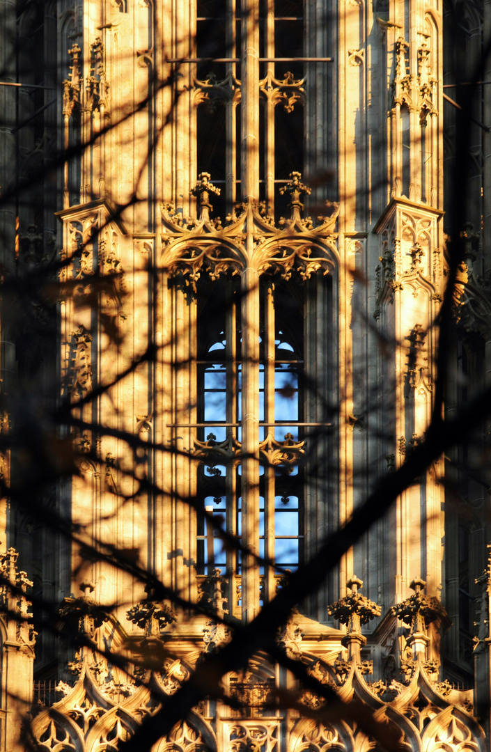 Münster - Fenster