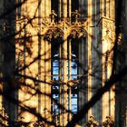 Münster - Fenster