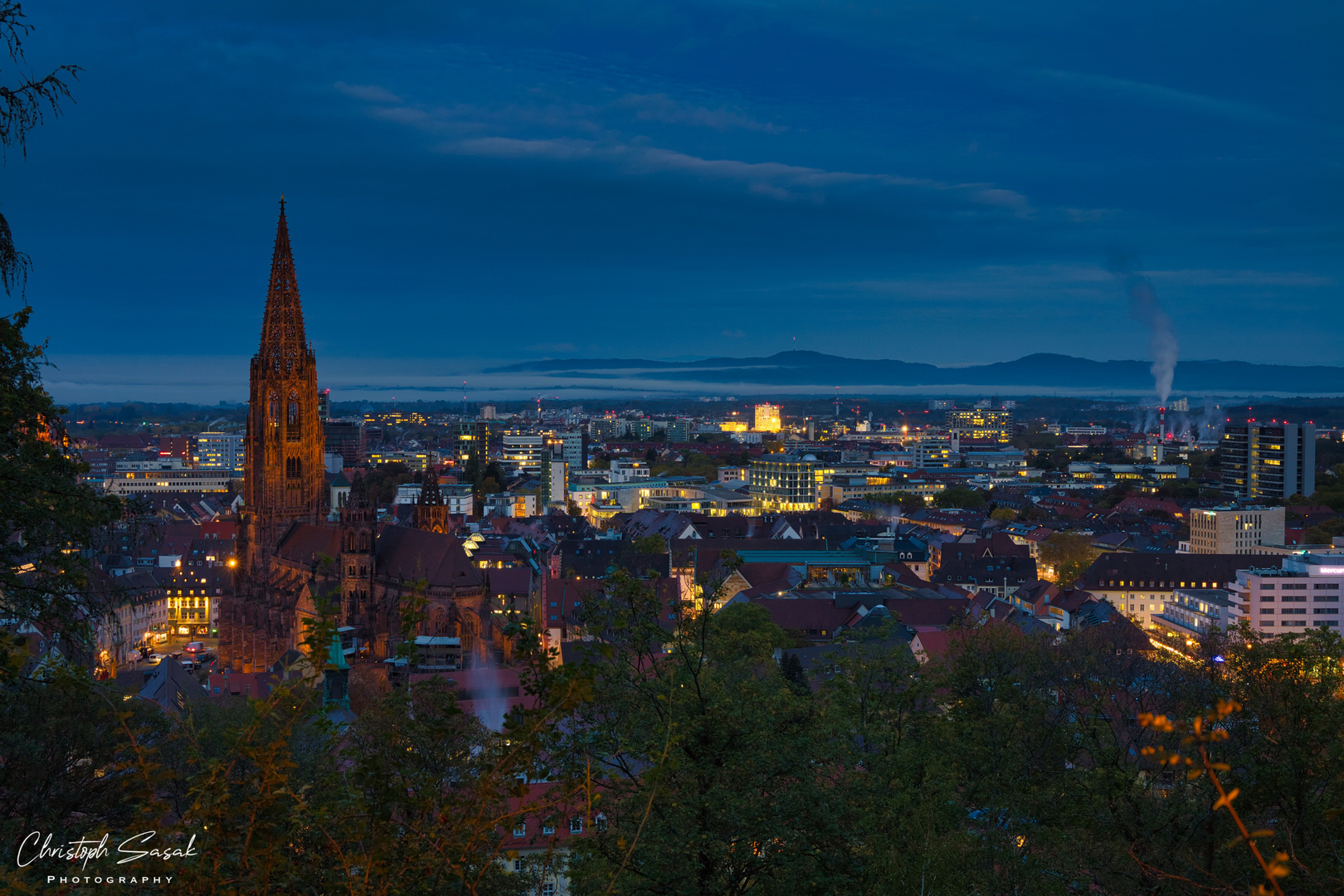 Münster Freiburg