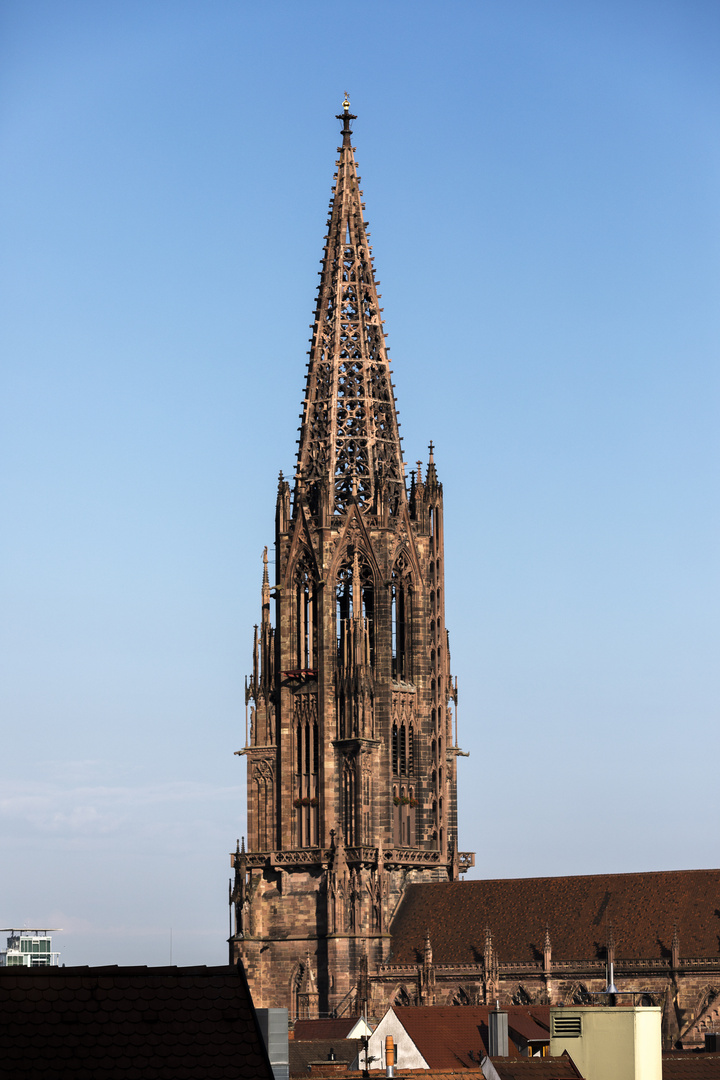 Münster Freiburg Foto & Bild | architektur, deutschland ...