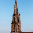 Münster Freiburg