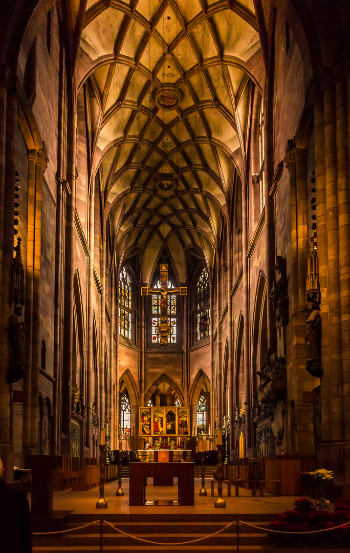 Münster Freiburg