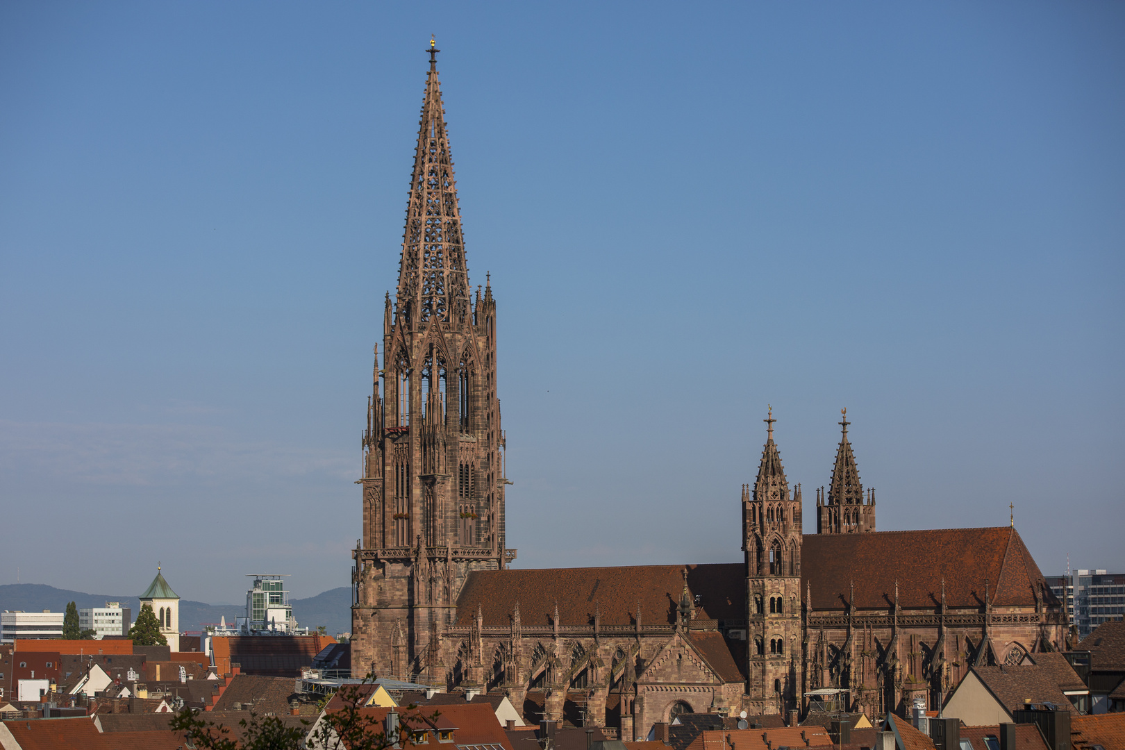 Münster Freiburg_2