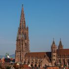 Münster Freiburg_2