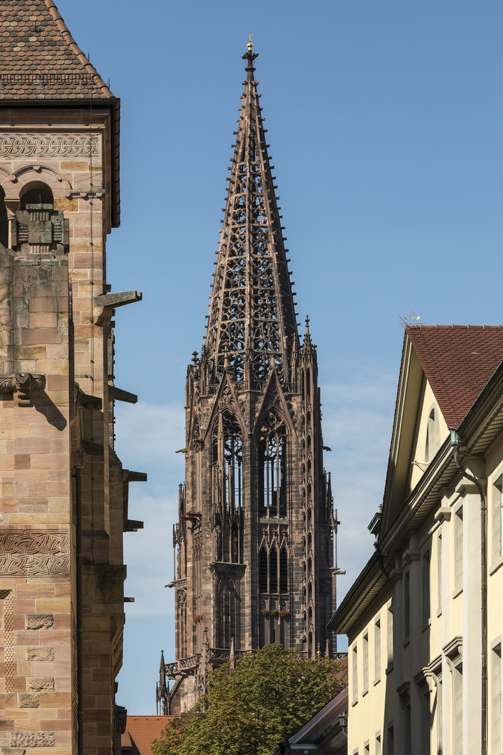 Münster Freiburg_4