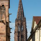 Münster Freiburg_4