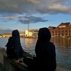 Münster * Hafen * Abend