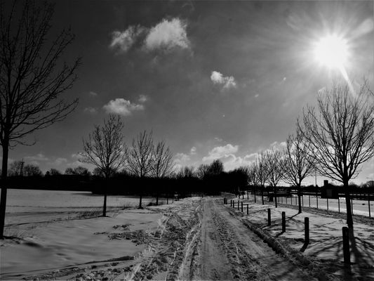Münster im Extremschnee 2021 - Eine monochrome Impression unweit der Schleuse