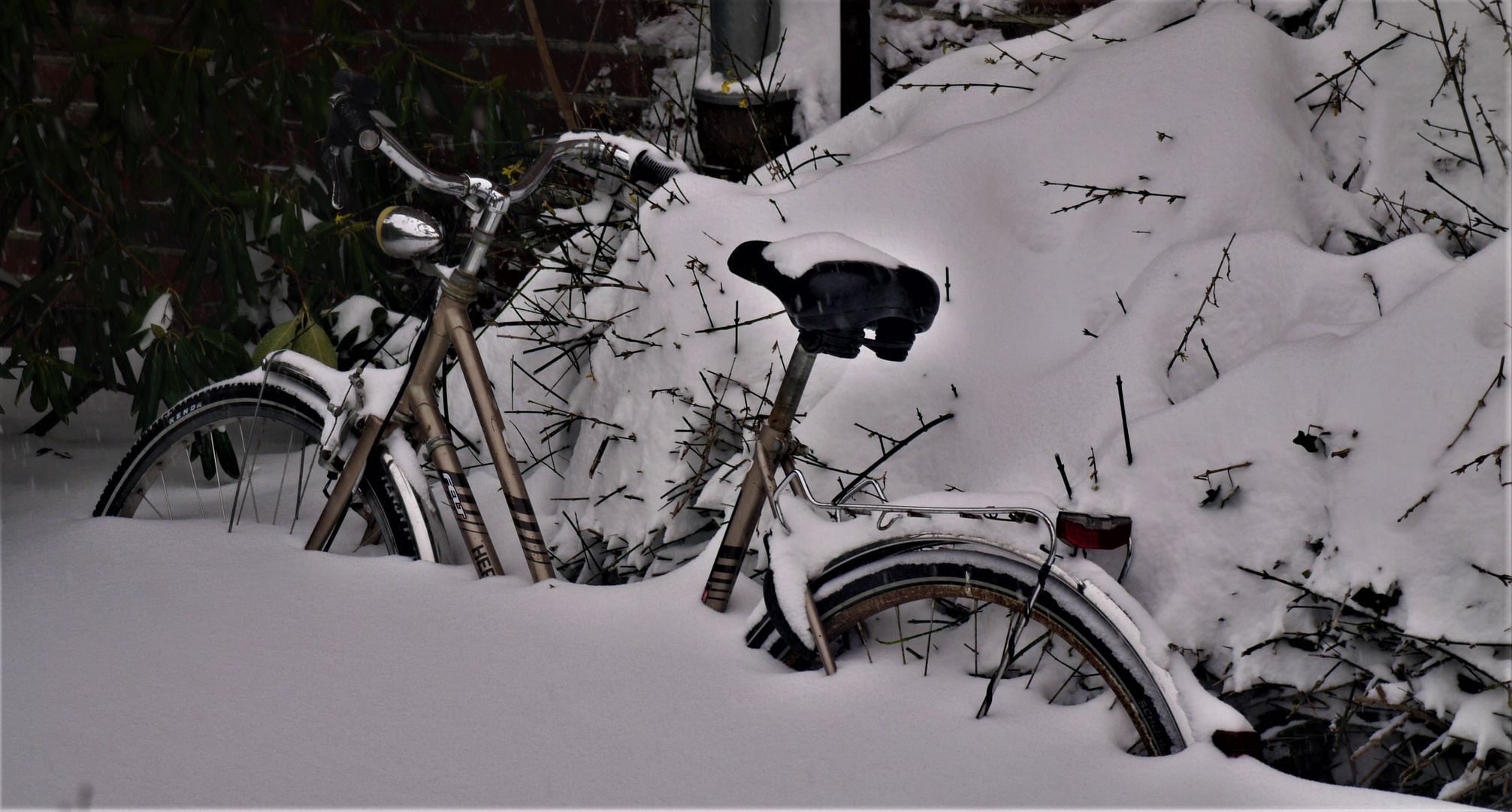 Münster im Februar 2021 - Extremschnee