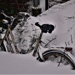 Münster im Februar 2021 - Extremschnee