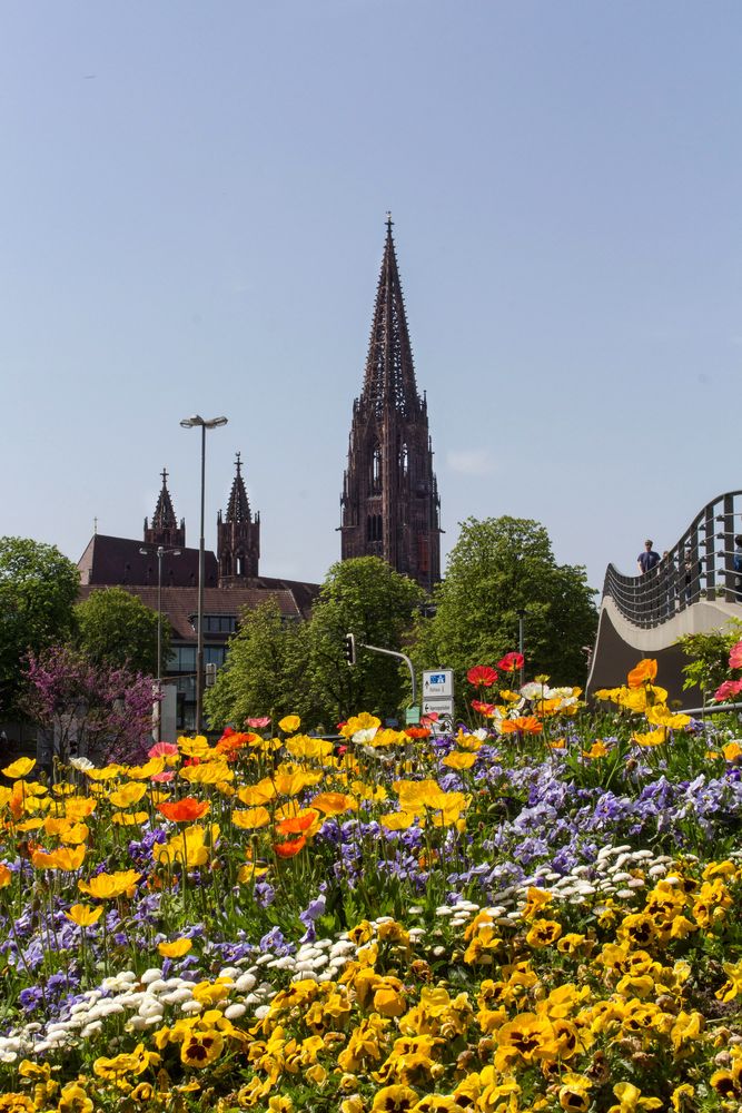 Münster im Frühling