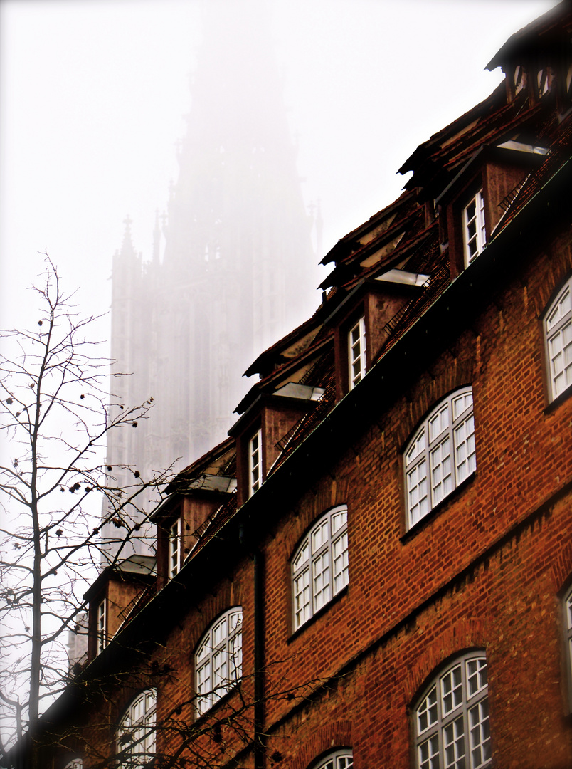 Münster im Nebel