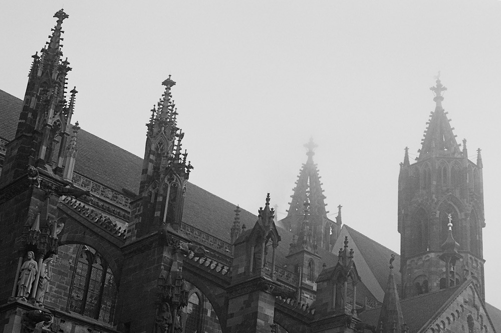 Münster im Nebel V