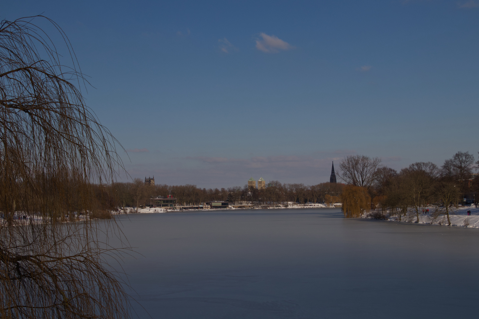 Münster im Schnee - Aaseepanorama