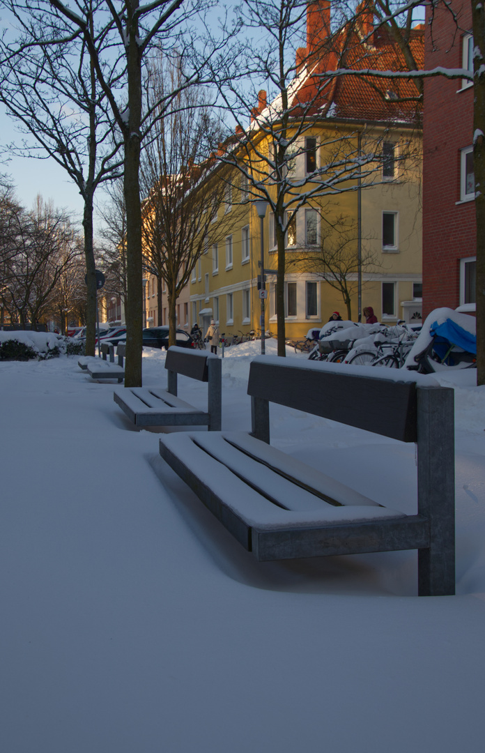 Münster im Schnee - Bänke