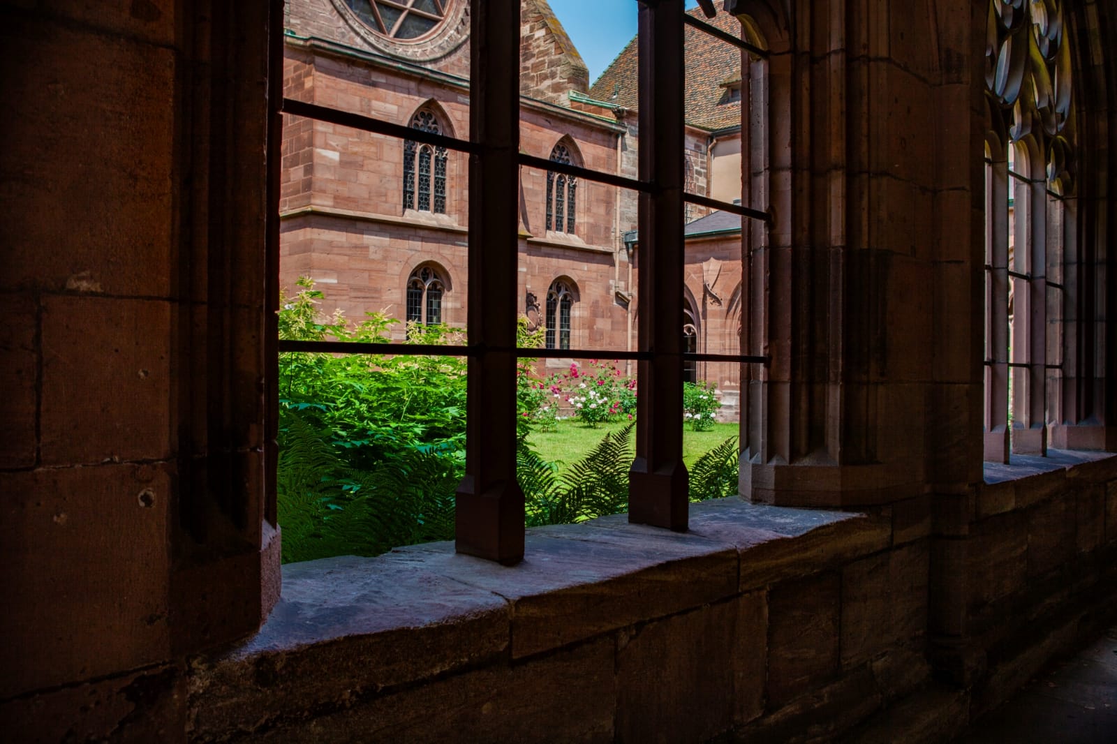 Münster in Basel (4 von 4) 