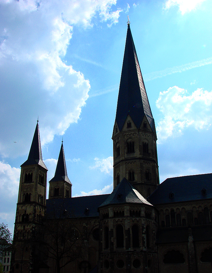 Münster in Bonn