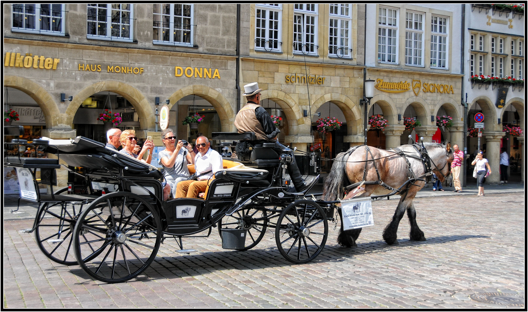 Münster - Kutschfahrt in der Altstadt