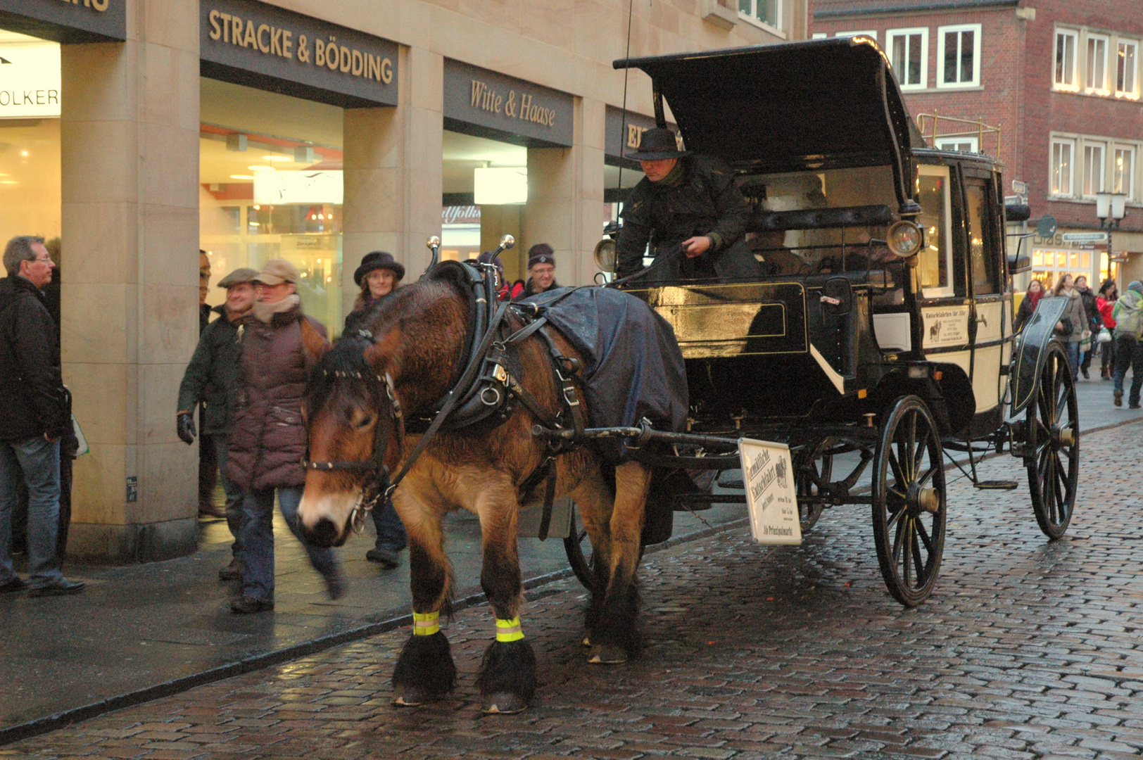 Münster-Kutschfahrten zu den Weihnachtsmärkten