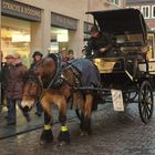 Münster-Kutschfahrten zu den Weihnachtsmärkten