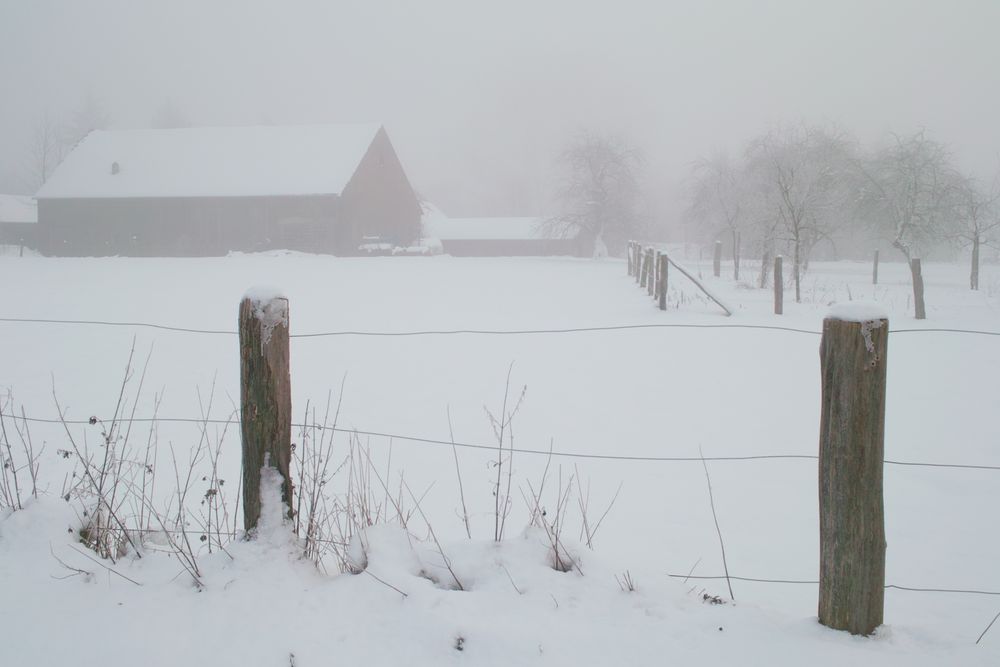 Münster-Mecklenbeck im Schnee