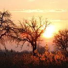 Münster, Rieselfelder, Sonnenuntergang