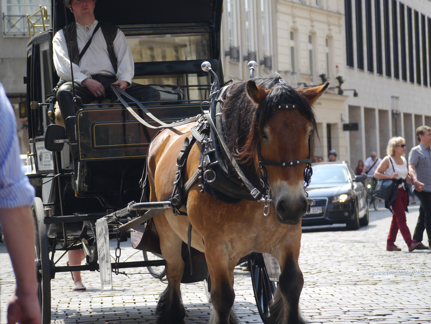 Münster, Samstagmittag 5