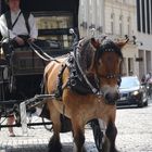 Münster, Samstagmittag 5