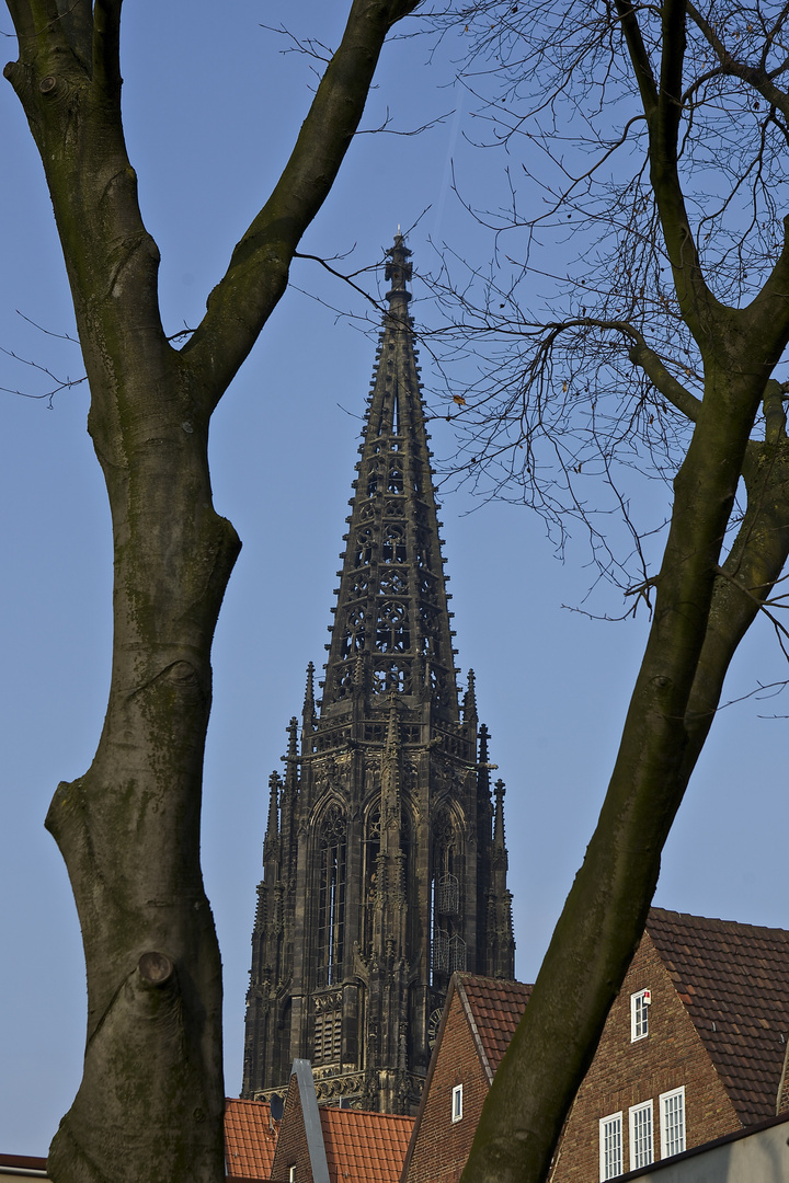 Münster: St. Lamberti Kirche