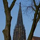 Münster: St. Lamberti Kirche