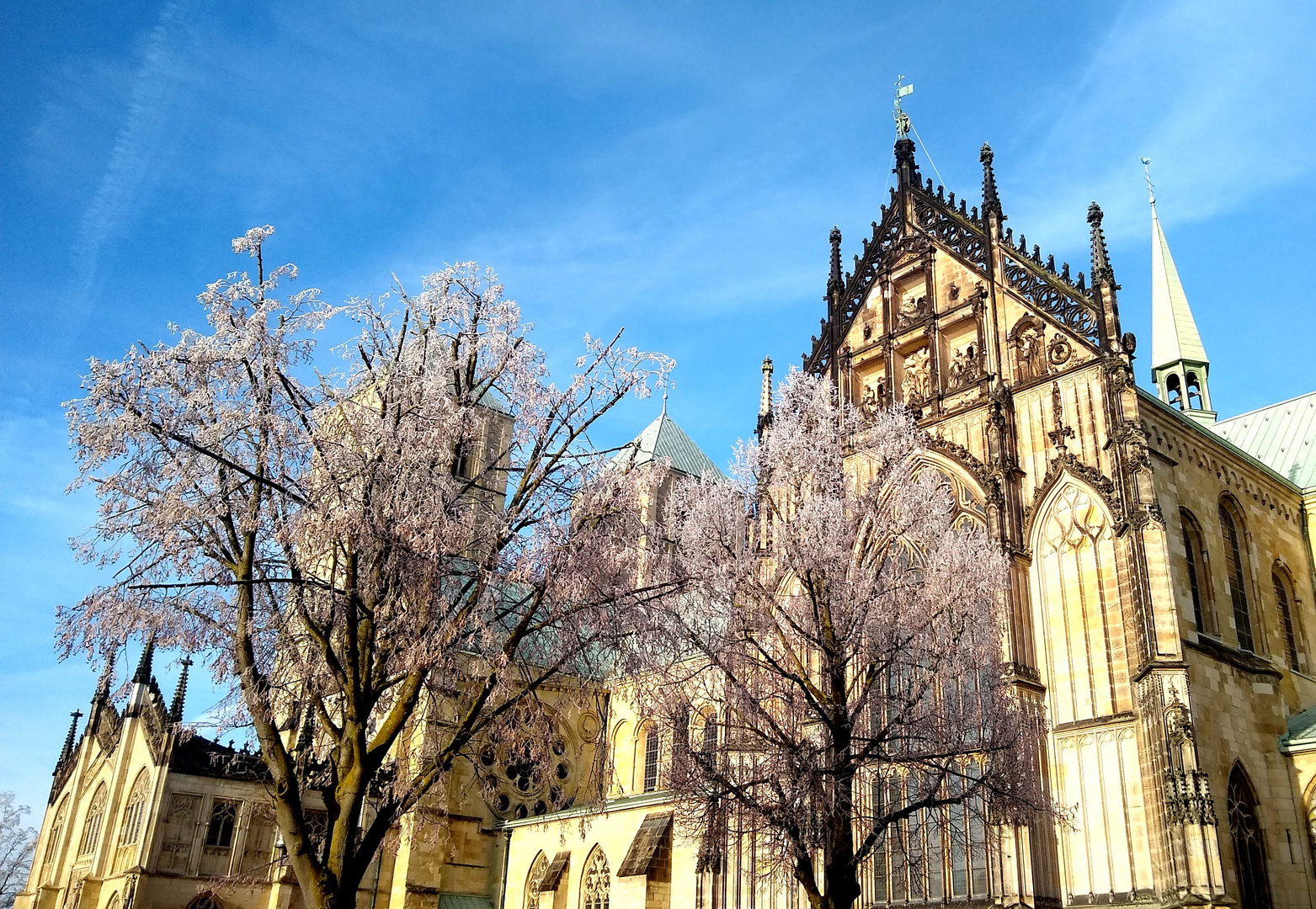 Münster - St. Paulus Dom - Winteransicht