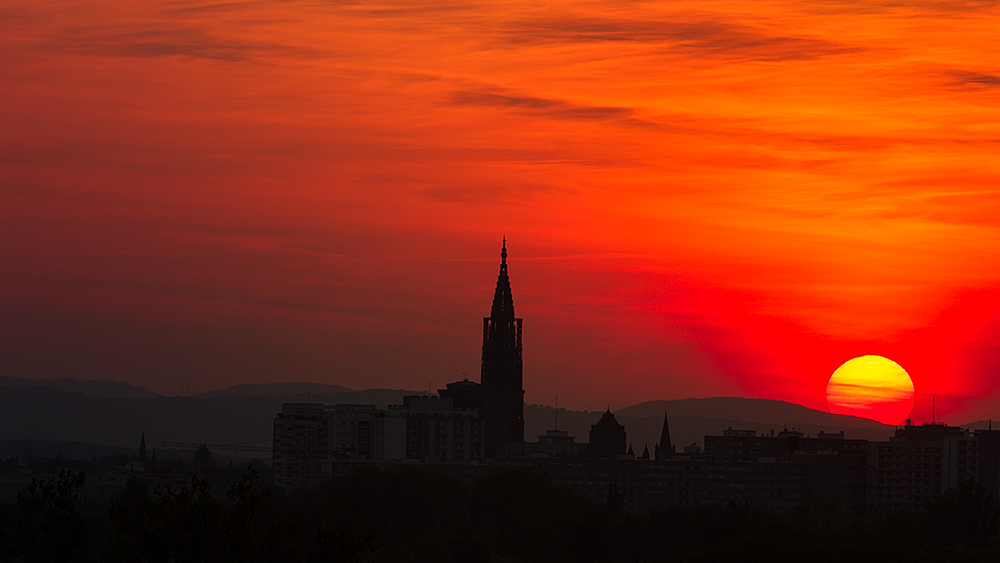 Münster - Sunset